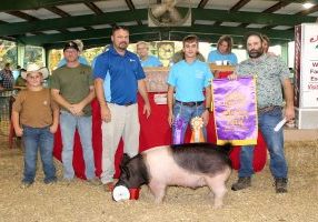 090226 fair hog GC