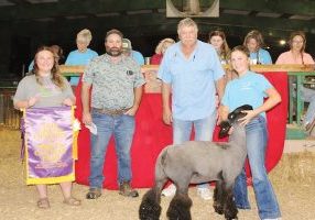 090226 fair lamb GC