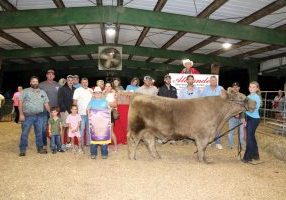 090226 fair steer GC