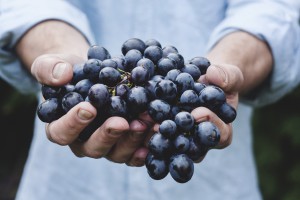 food-healthy-man-person 
