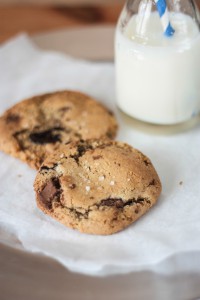 food-sugar-milk-cookie 